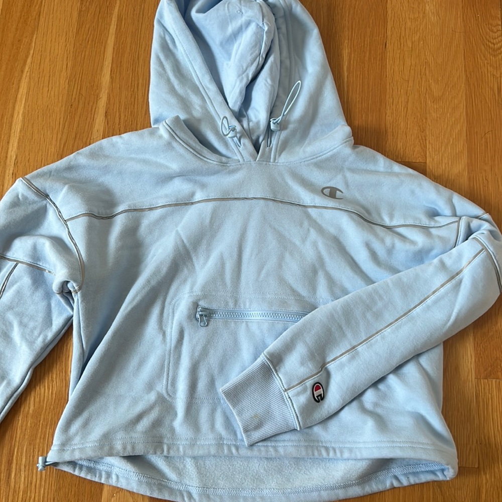 Cropped Champion Sweatshirt (size XS)
